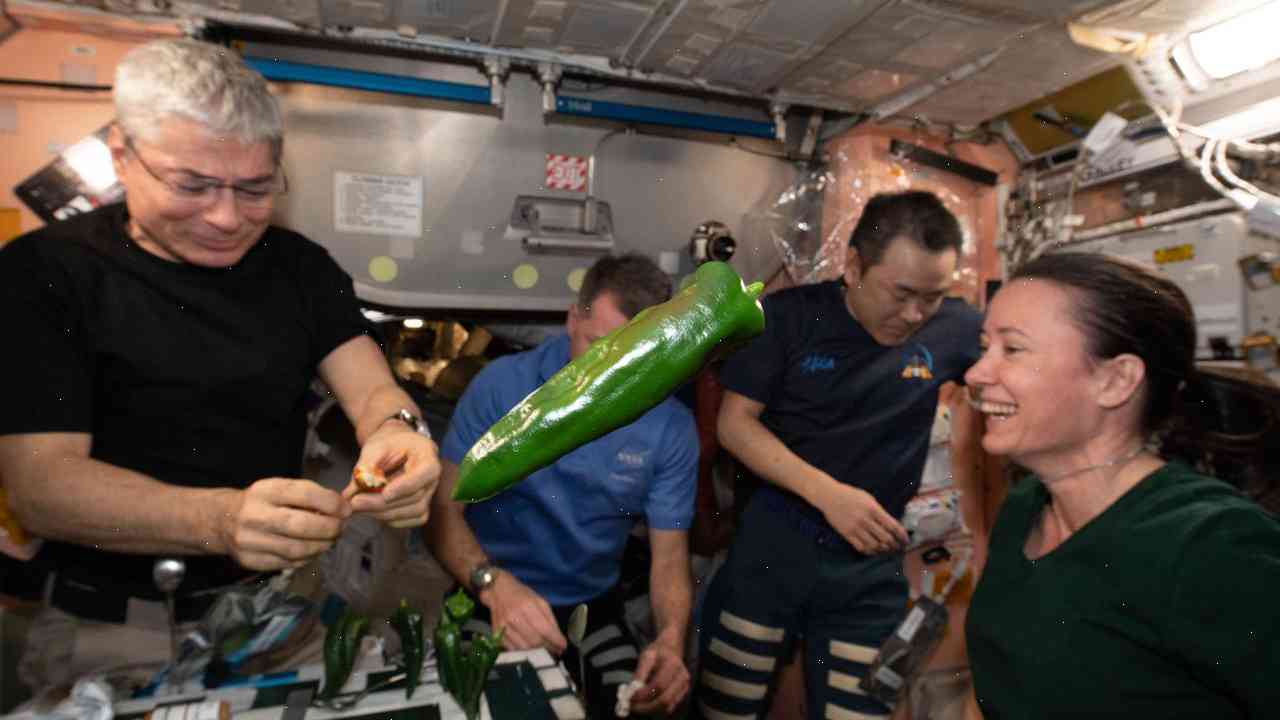 How astronauts cured peanuts in space