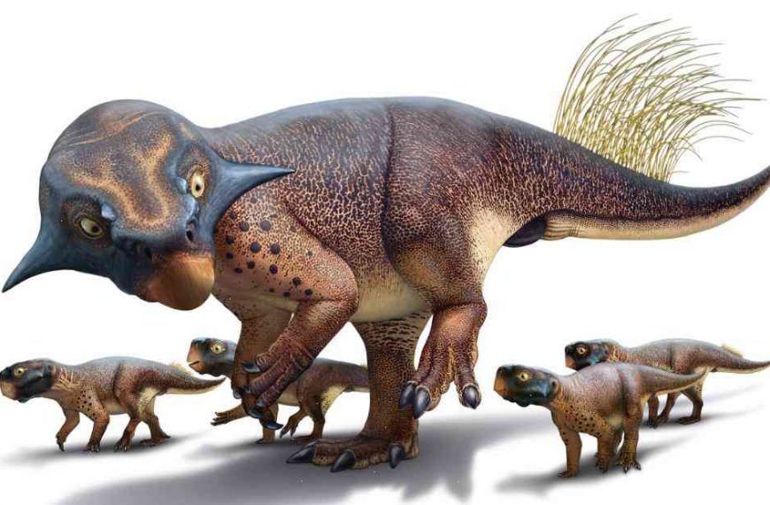 Paleontologists Bust Some Surprisingly Pink Dinosaurs